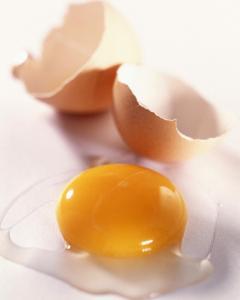 egg_yolk.jpg